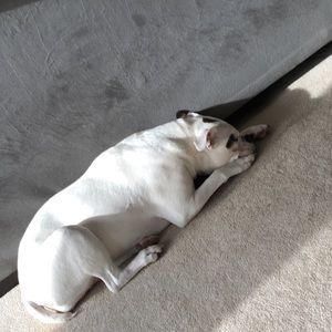 Meet your Posher, Brianna